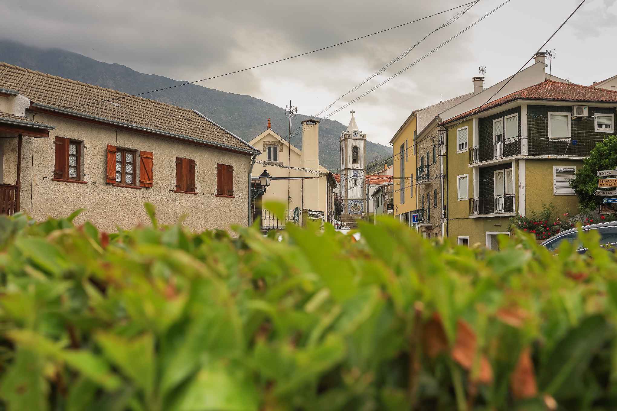 Igraja Matriz de São Roque